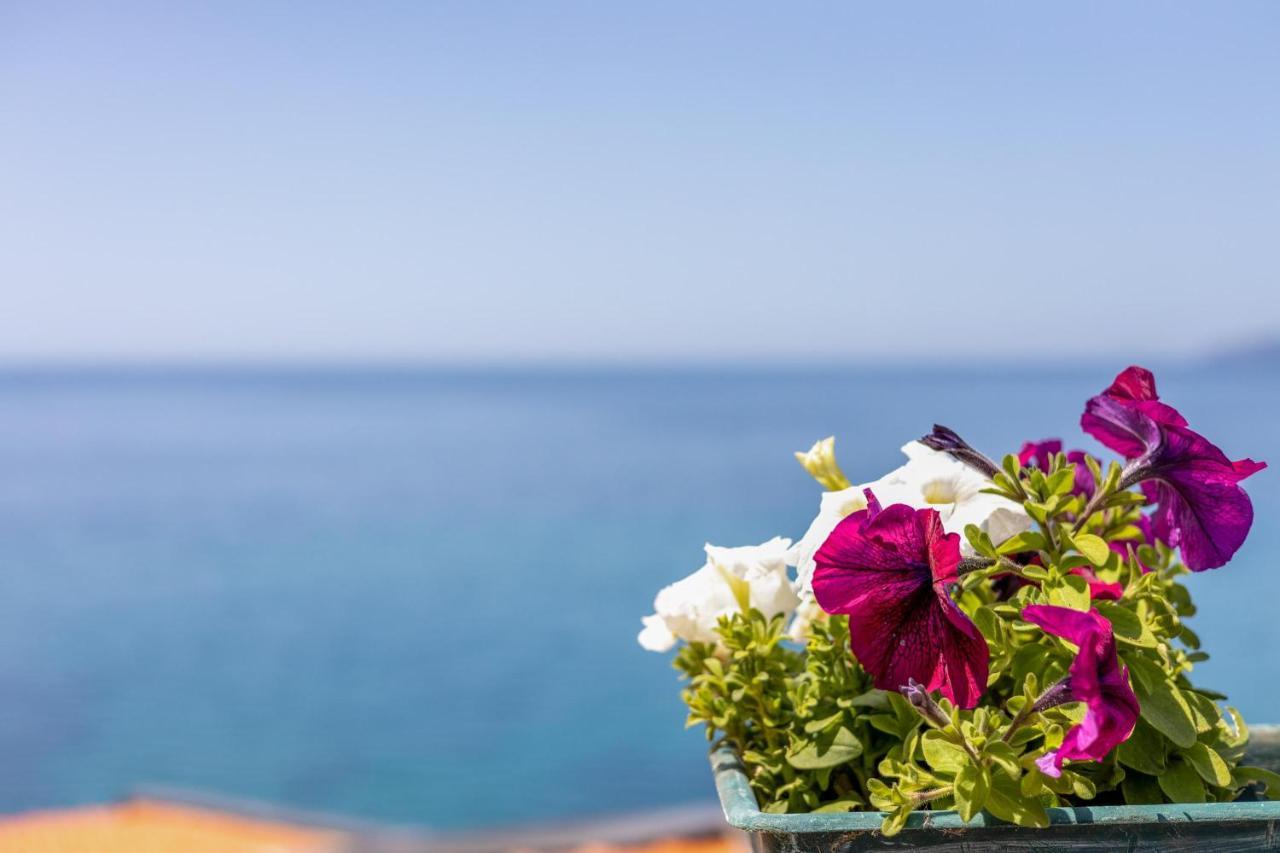 La Terrazza Sul Mare Villa Magomadas Eksteriør billede